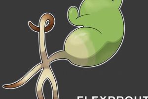 Best Protein Pokemon: Build Muscle in Pokemon Games! Pokémon Guide & Updates – Latest News, Games, Cards, and Tips Best Protein Pokemon: Build Muscle in Pokemon Games! | Pokémon Guide & Updates – Latest News, Games, Cards, and Tips