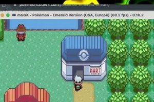 Unlock Pokemon Emerald: Exp Share Cheat & Level Up Fast! Pokémon Guide & Updates – Latest News, Games, Cards, and Tips Unlock Pokemon Emerald: Exp Share Cheat & Level Up Fast! | Pokémon Guide & Updates – Latest News, Games, Cards, and Tips