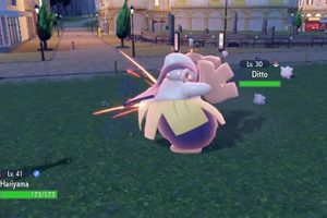Guide: Best Focus Punch Pokmon Builds & Strategies Pokémon Guide & Updates – Latest News, Games, Cards, and Tips Guide: Best Focus Punch Pokmon Builds & Strategies | Pokémon Guide & Updates – Latest News, Games, Cards, and Tips