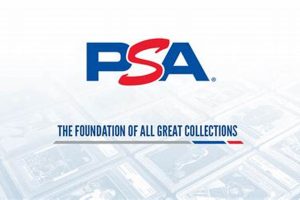 Best Pokemon Ultra Sun Team Builder [Guide] Tips & Tricks | Pokémon Guide & Updates – Latest News, Games, Cards, and Tips