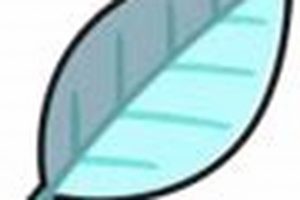 Use Mental Herb Pokemon: Guide + Strategy Pokémon Guide & Updates – Latest News, Games, Cards, and Tips Use Mental Herb Pokemon: Guide + Strategy | Pokémon Guide & Updates – Latest News, Games, Cards, and Tips