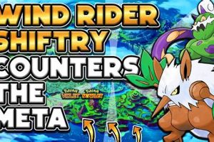 Guide: Best Wind Rider Pokmon + Tips! Pokémon Guide & Updates – Latest News, Games, Cards, and Tips Guide: Best Wind Rider Pokmon + Tips! | Pokémon Guide & Updates – Latest News, Games, Cards, and Tips