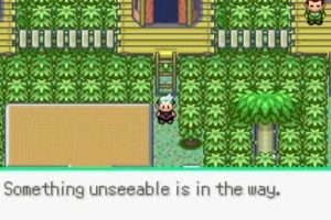 Facing 'Something Unseeable' in Pokmon Emerald? [FIXED] | Pokémon Guide & Updates – Latest News, Games, Cards, and Tips