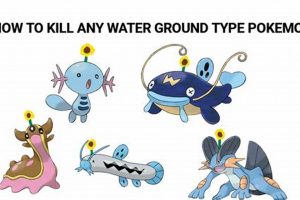 Guide: Powerful Water & Ground Pokemon - Strengths & More! Pokémon Guide & Updates – Latest News, Games, Cards, and Tips Guide: Powerful Water & Ground Pokemon - Strengths & More! | Pokémon Guide & Updates – Latest News, Games, Cards, and Tips
