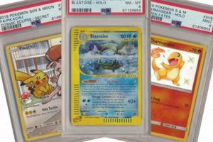 Buy Pokemon Slab Cards: Value & Protection Guide Pokémon Guide & Updates – Latest News, Games, Cards, and Tips Buy Pokemon Slab Cards: Value & Protection Guide | Pokémon Guide & Updates – Latest News, Games, Cards, and Tips