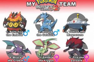Best Pokemon White 2 Team: Build Your Winning Squad! | Pokémon Guide & Updates – Latest News, Games, Cards, and Tips