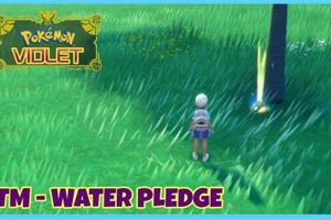 Unleash: Pokemon Water Pledge Power & Combos Guide | Pokémon Guide & Updates – Latest News, Games, Cards, and Tips