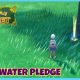Unleash: Pokemon Water Pledge Power & Combos Guide | Pokémon Guide & Updates – Latest News, Games, Cards, and Tips
