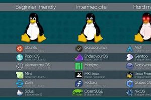 Guide to Distro Pokemon: Events, Rarity & Power! | Pokémon Guide & Updates – Latest News, Games, Cards, and Tips