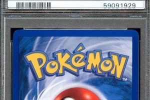 Buy Pokemon Slab Cards: Value & Protection Guide | Pokémon Guide & Updates – Latest News, Games, Cards, and Tips