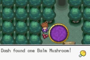 Guide: Balm Mushroom Pokemon Unbound | Location & Uses | Pokémon Guide & Updates – Latest News, Games, Cards, and Tips