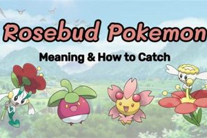 Discover: Pokemon Rosebud Ideas + Cute Concepts | Pokémon Guide & Updates – Latest News, Games, Cards, and Tips