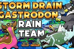 Pokemon Storm Drain Guide: Master Water Redirection! | Pokémon Guide & Updates – Latest News, Games, Cards, and Tips