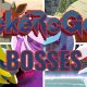 Pokerogue: Can YOU Catch Boss Pokemon? (Tips!) | Pokémon Guide & Updates – Latest News, Games, Cards, and Tips
