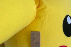 Cuddle a Friend: Giant Pokemon Stuffed Animal Guide & More! | Pokémon Guide & Updates – Latest News, Games, Cards, and Tips