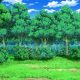 Explore the Wild: Pokemon Forest Adventures Await! | Pokémon Guide & Updates – Latest News, Games, Cards, and Tips