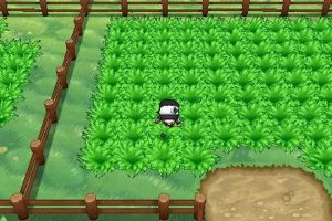 Guide: Pokemon XY Friend Safari Tips & Tricks | Pokémon Guide & Updates – Latest News, Games, Cards, and Tips