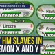 Best Pokmon Emerald HM Slave: Team Build &amp; Guide | Pokémon Guide & Updates – Latest News, Games, Cards, and Tips