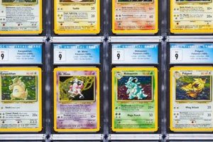 Unearth the Pokemon Jungle Set: A Lush TCG Expansion | Pokémon Guide & Updates – Latest News, Games, Cards, and Tips