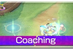 Level Up Your Game: Coaching Pokmon for Victory! | Pokémon Guide & Updates – Latest News, Games, Cards, and Tips