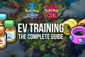 Guide: EV Training Pokemon Emerald | Max Stats | Pokémon Guide & Updates – Latest News, Games, Cards, and Tips