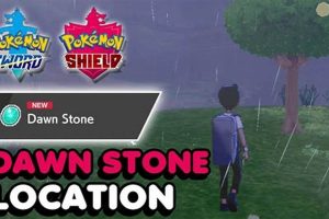 Get Dawn Stone Pokemon Sword: Location & Evolution Guide! | Pokémon Guide & Updates – Latest News, Games, Cards, and Tips