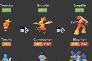 Emerald's Best: Starter Pokemon Evolutions Guide! | Pokémon Guide & Updates – Latest News, Games, Cards, and Tips