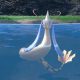 All Pokemon That Can Learn Waterfall: Guide & Tips | Pokémon Guide & Updates – Latest News, Games, Cards, and Tips