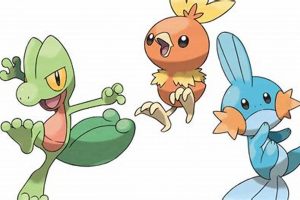 Best Pokemon Ruby Starters: A Beginner's Guide to Hoenn! | Pokémon Guide & Updates – Latest News, Games, Cards, and Tips
