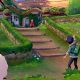Download Pokemon Sword Switch Emulator ROM: Play Anywhere! | Pokémon Guide & Updates – Latest News, Games, Cards, and Tips