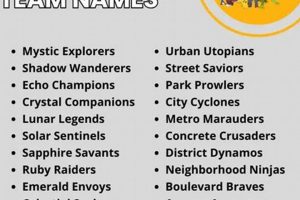 Best Pokemon Team Names: Ideas & More for Pokemon Team | Pokémon Guide & Updates – Latest News, Games, Cards, and Tips