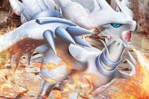 Unleash the Power: Pokemon White Dragon Guide & More! | Pokémon Guide & Updates – Latest News, Games, Cards, and Tips