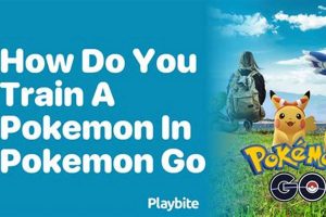 Pokmon GO Training: How to Train Your Pokmon GO Team! | Pokémon Guide & Updates – Latest News, Games, Cards, and Tips