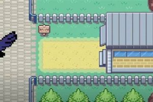Pokemon Red: Get HM Fly Guide - Location & More! | Pokémon Guide & Updates – Latest News, Games, Cards, and Tips