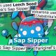 Sap Sipper Pokemon: Grass Immunity & More! | Pokémon Guide & Updates – Latest News, Games, Cards, and Tips