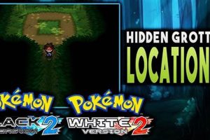 Find Rare Pokemon: Black 2 Hidden Grotto Guide! | Pokémon Guide & Updates – Latest News, Games, Cards, and Tips