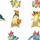 2nd Gen Starter Pokemon | Pokémon Guide & Updates – Latest News, Games, Cards, and Tips