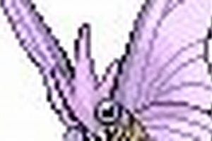 What Makes A Wonder Skin Pokemon Special | Guide Pokémon Guide & Updates – Latest News, Games, Cards, and Tips What Makes A Wonder Skin Pokemon Special | Guide | Pokémon Guide & Updates – Latest News, Games, Cards, and Tips