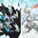 Build a Pro Pokemon White & Black Team: Tips & Tricks | Pokémon Guide & Updates – Latest News, Games, Cards, and Tips
