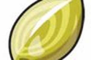 Boost Grass Moves! Pokemon Miracle Seed Guide + Tips | Pokémon Guide & Updates – Latest News, Games, Cards, and Tips