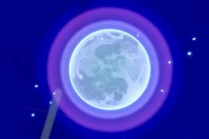 Unleash Moonblast Pokemon Power! Stats & Strategy Pokémon Guide & Updates – Latest News, Games, Cards, and Tips Unleash Moonblast Pokemon Power! Stats & Strategy | Pokémon Guide & Updates – Latest News, Games, Cards, and Tips