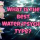 Guide to Psychic Water Pokmon: Strengths &amp; More! | Pokémon Guide & Updates – Latest News, Games, Cards, and Tips