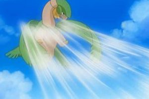 Guide: Best Gust Pokemon Builds & Strategies | Pokémon Guide & Updates – Latest News, Games, Cards, and Tips